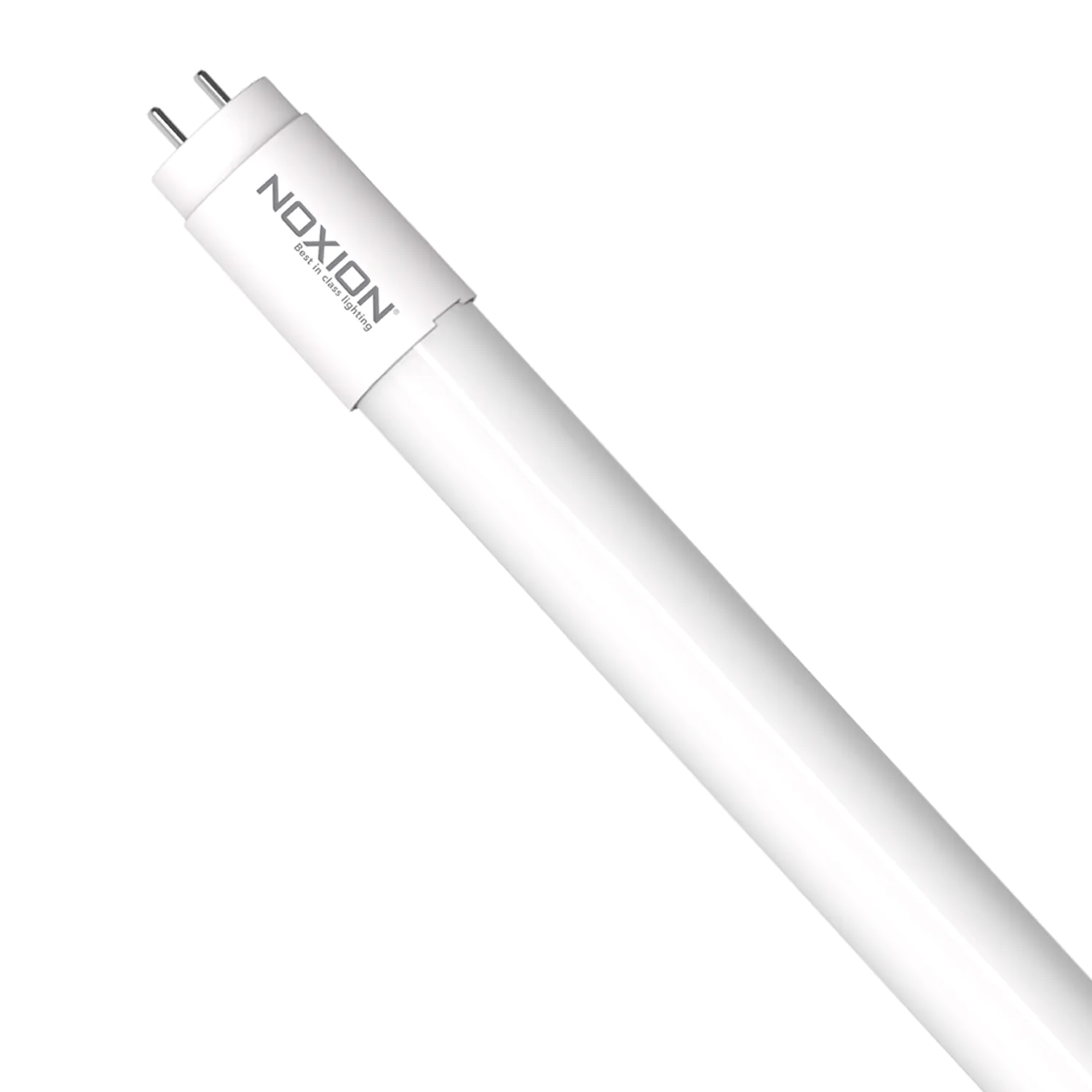 Noxion T8