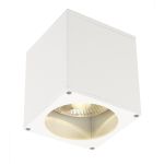 SLV Big Theo Plafond Spot Aluminium Wit | Buitenverlichting - IP44 - Geschikt voor 1x GU10 Max. 75W - Dimbaar
