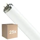 Voordeelpak 25x Philips T8 Flexo print 40W | 60cm - UVA